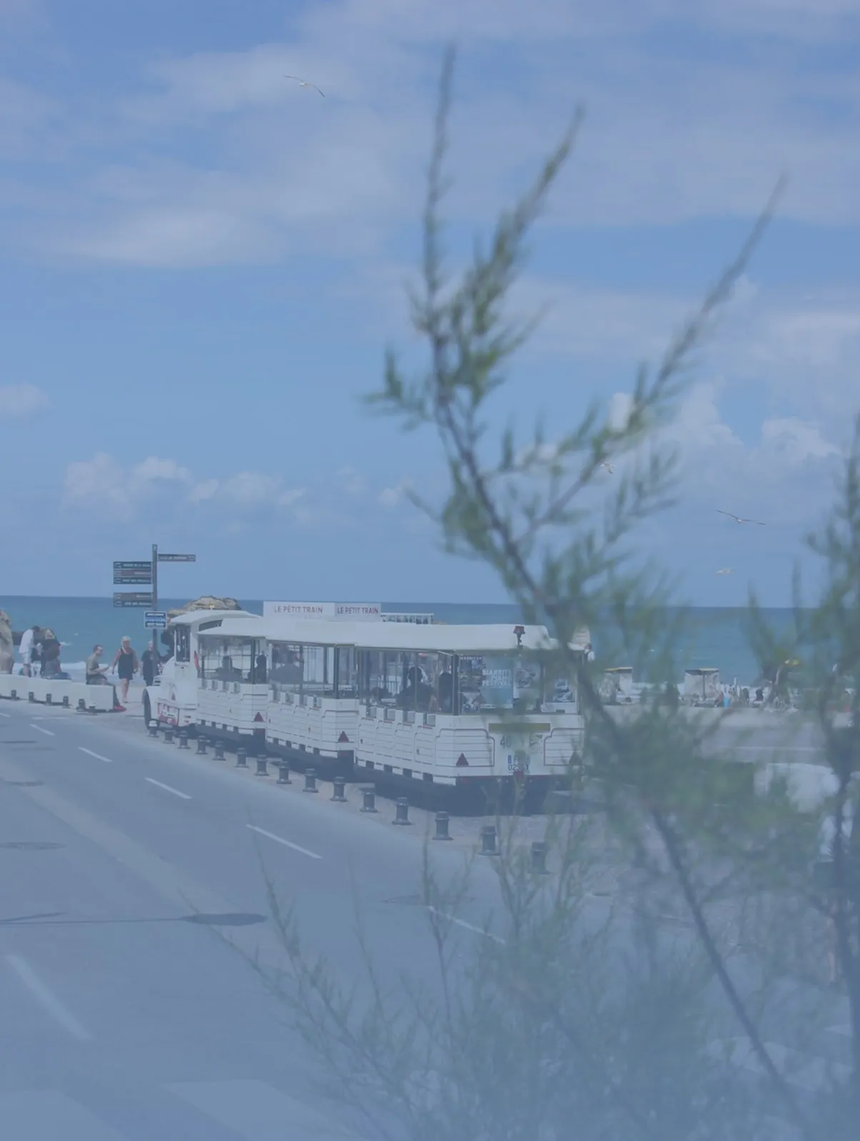 Wit toeristentreintje met het opschrift 'Le Petit Train', geparkeerd bij een zeepromenade met wandelende mensen en de oceaan op de achtergrond.